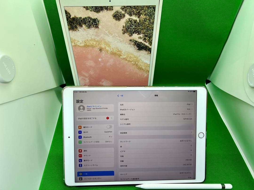 iPadPro10.5インチ256GB WiFi+Cellular2017購入品