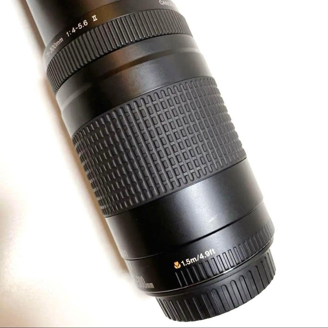 【美品】Canon 75-300mm F4-5.6 Ⅱ 超望遠レンズ