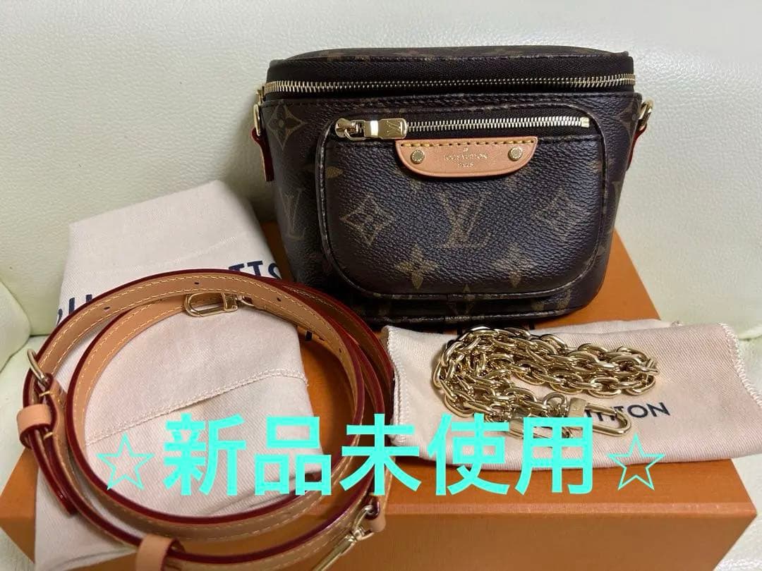 新品未使用⭐︎LOUIS VUITTON⭐︎ モノグラムミニバムバッグ