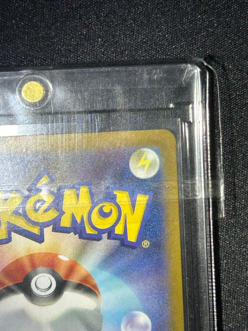 アセロラのいたずらSAR