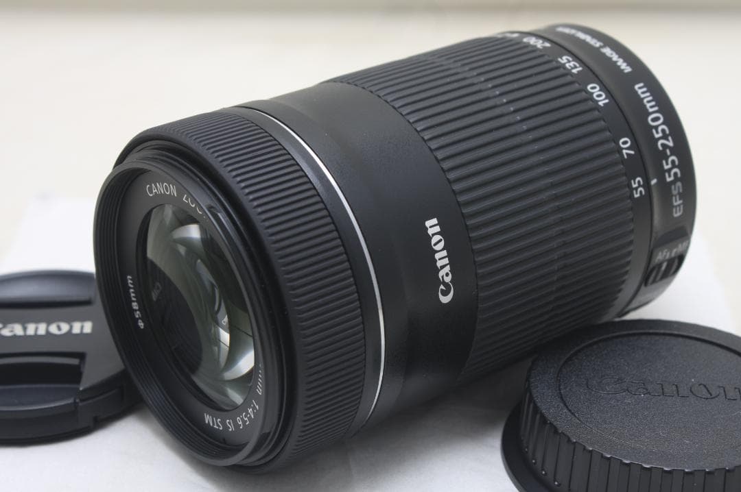 キヤノン EF-S 55-250mm F4-5.6 IS STM 5541