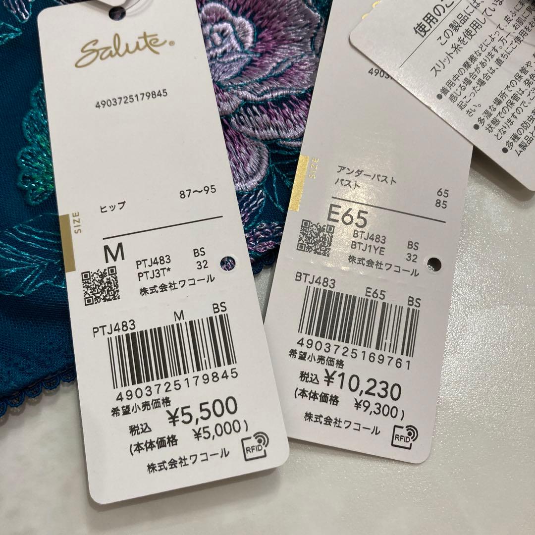 サルート　83G E65 ソング　M BS