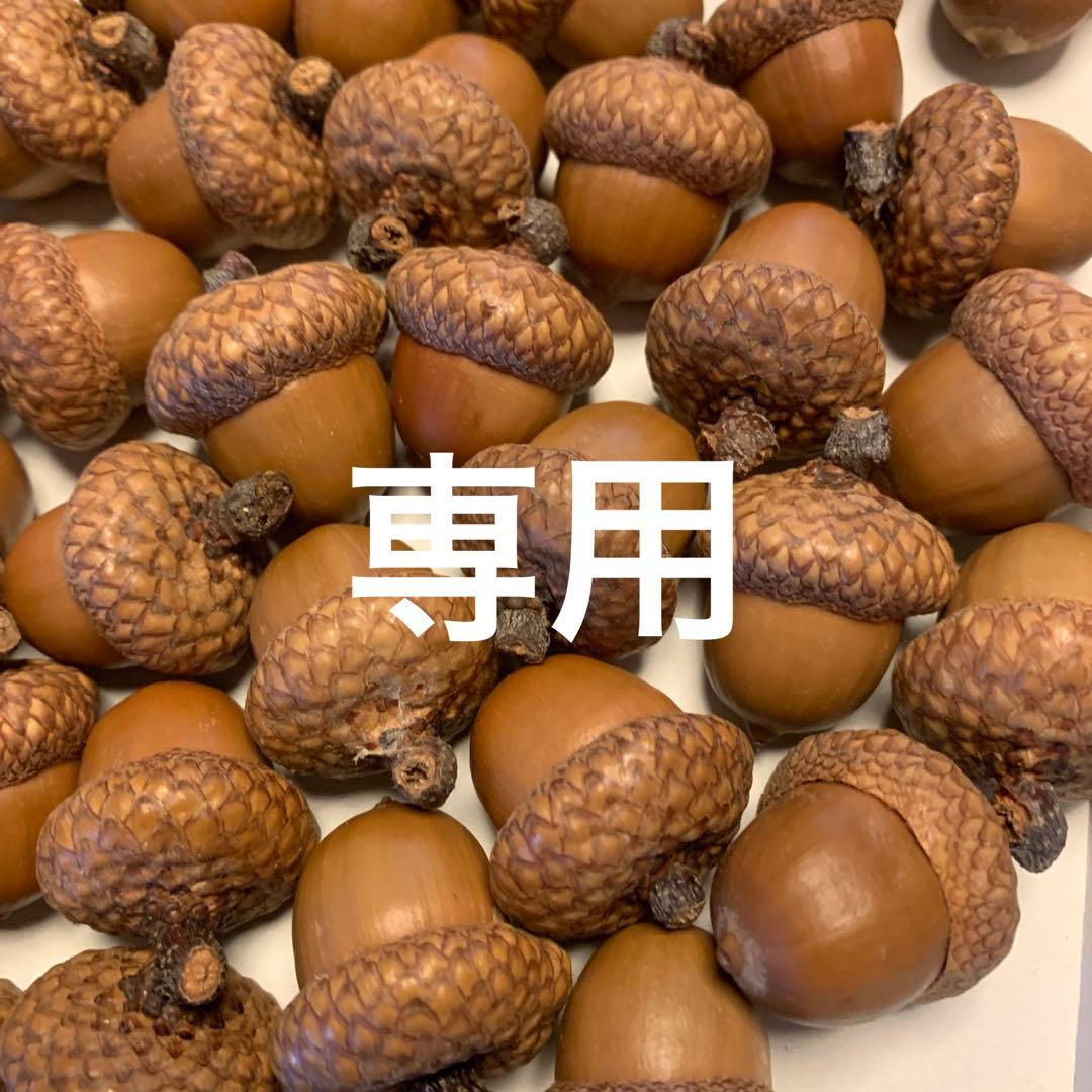 ちべ☆ 特大ドングリ80個