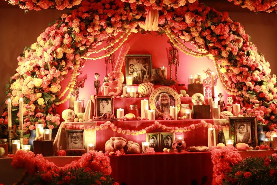 Canon EOS Kiss X10i デジタル一眼レフカメラ