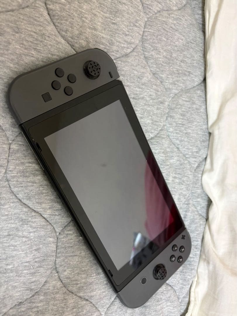 Nintendo Switch 本体 グレー 256GB microSDカード付