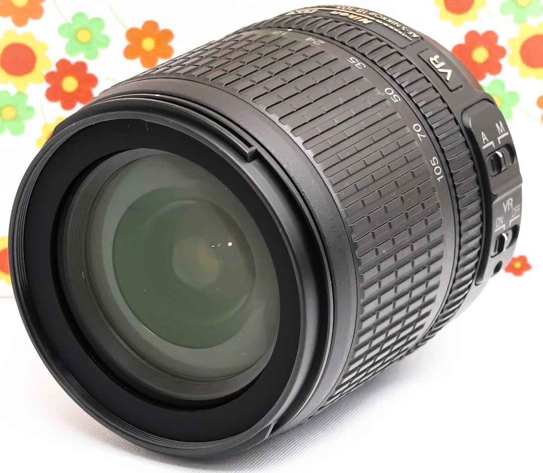 ニコン Nikon AF-S 18-105mm☆１本で広角〜中望遠まで対応♪