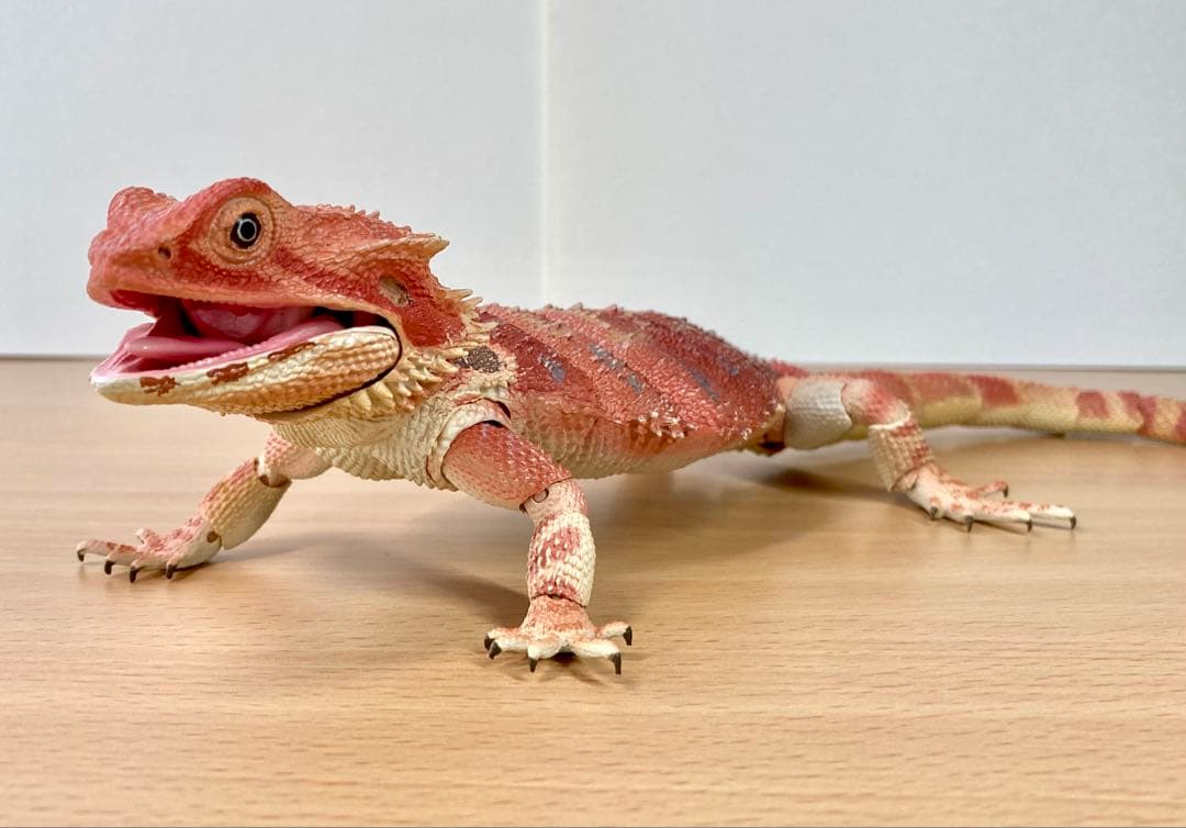 いきもの大図鑑プレミアム　フトアゴヒゲトカゲ（レッド）