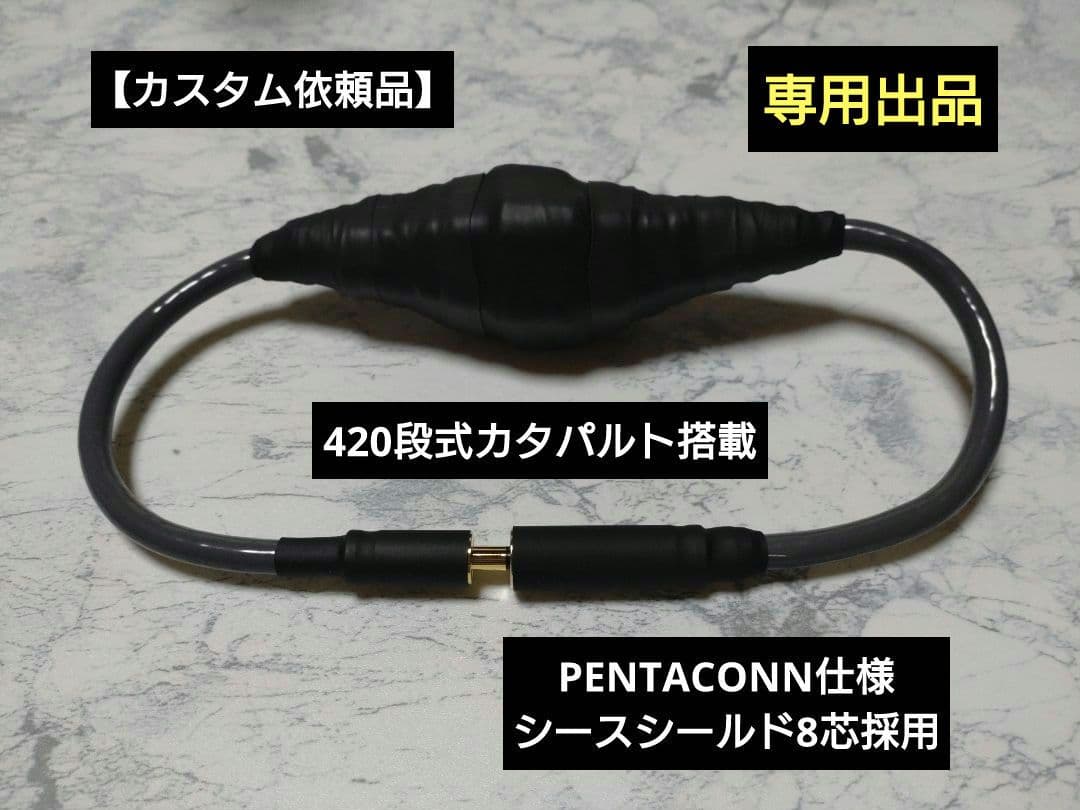 【カスタム依頼品】420段式カタパルトシールド4.4mm5極メス-オス 38cm