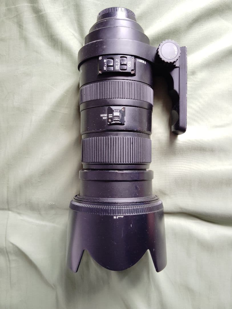 レンズ(ズーム) SIGMA APO 50-500 F4.5-6.3 DG OS HSM F