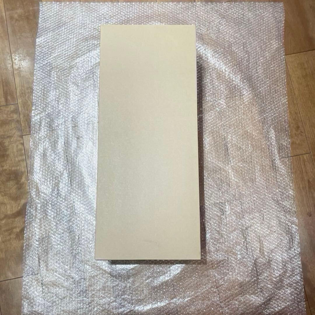 新品 ダイソン Dyson WashG1 WR01 充電式　掃除機　水拭き