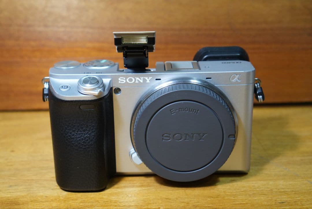 Mabu　SONY ILCE-6400(S) 純正チャージャー、電池x2