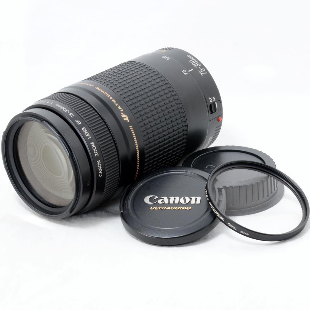 ⭐️良品⭐️Canon キャノン EF 75-300mm F4-5.6ⅡUSM