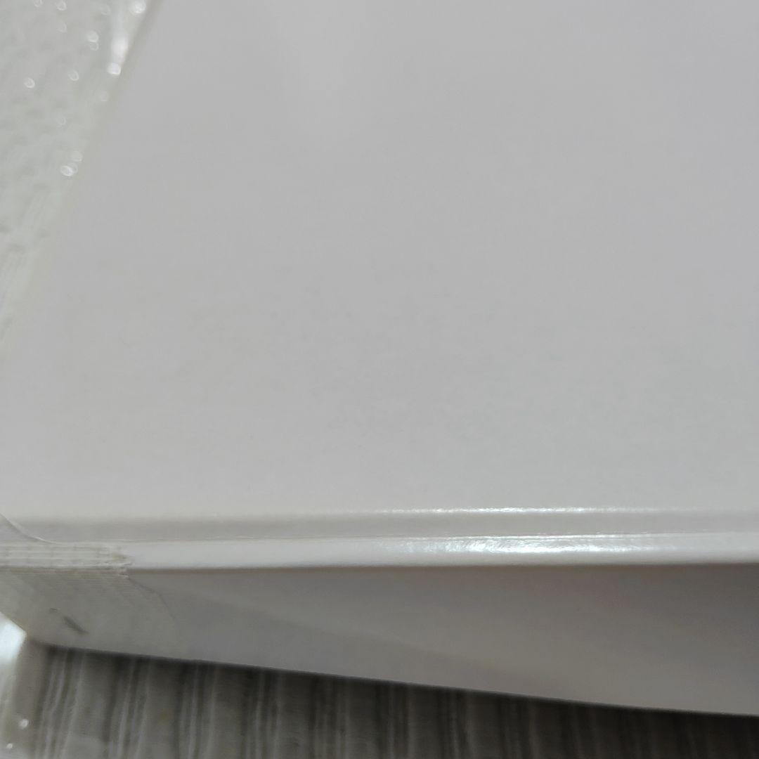 川添日記草木彫大皿桜