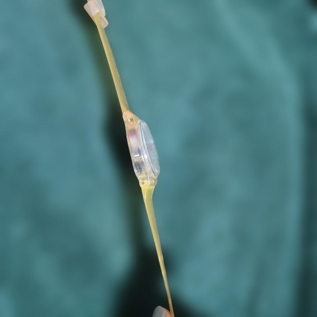 ア*ウ様 Swatch - Ticking Brain スウォッチ　脳　人体　血