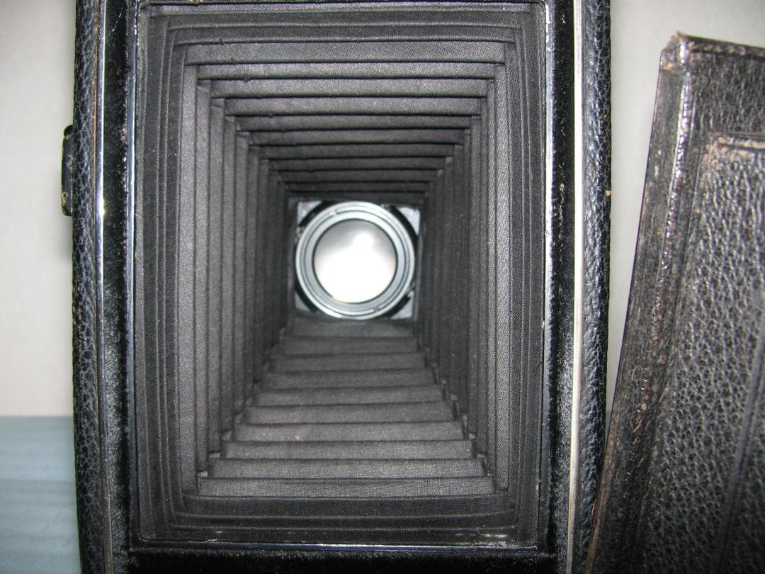 超希少★Kamera Werkstatten Dresden A21蛇腹式カメラ