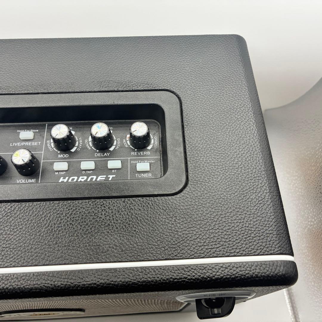 【美品】MOOER HORNET 30w ギターアンプ本体