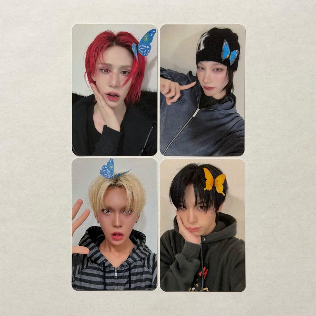 XLOV トレカ starlikemusic コンプセット