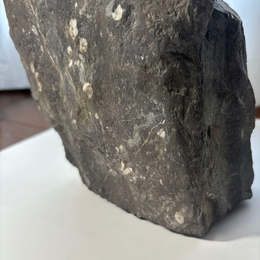 梅花石　高さ33センチ　鑑賞石　門司