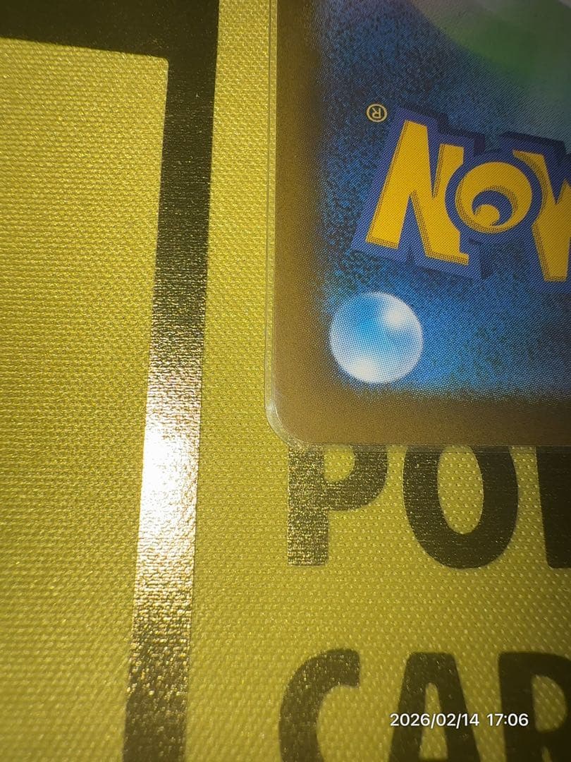 ダイゴのメタグロスex SAR 2枚