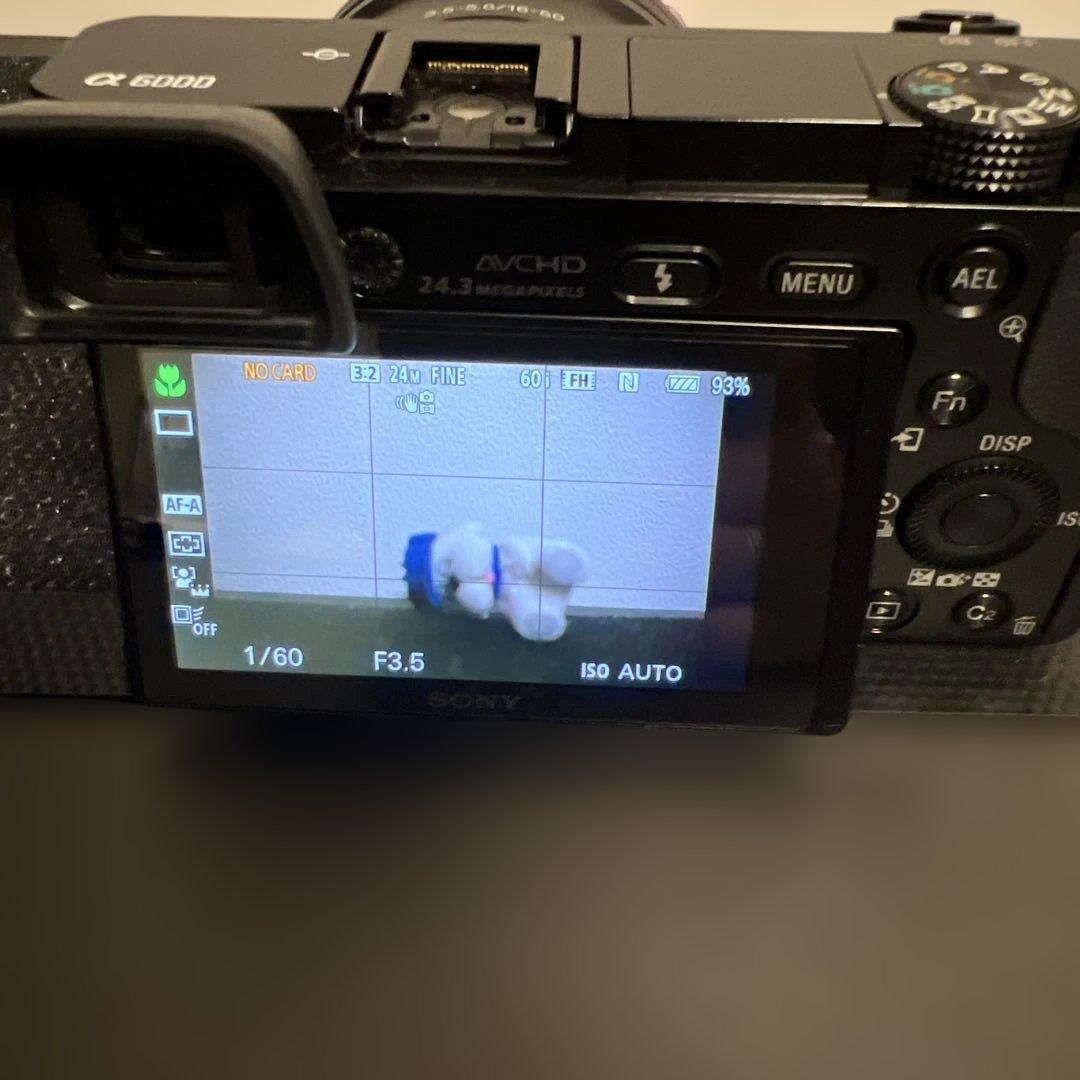 【みゆ】α6000 レンズキット（ILCE-6000）ミラーレス一眼カメラ