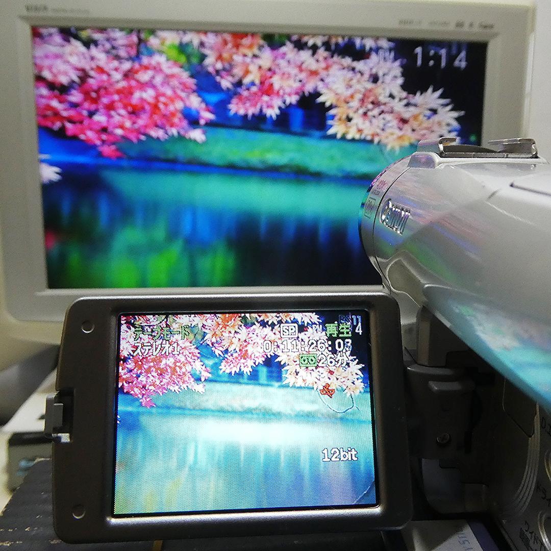 動作良好 キャノン DM-FV M200 MiniDVビデオ DVDダビングに