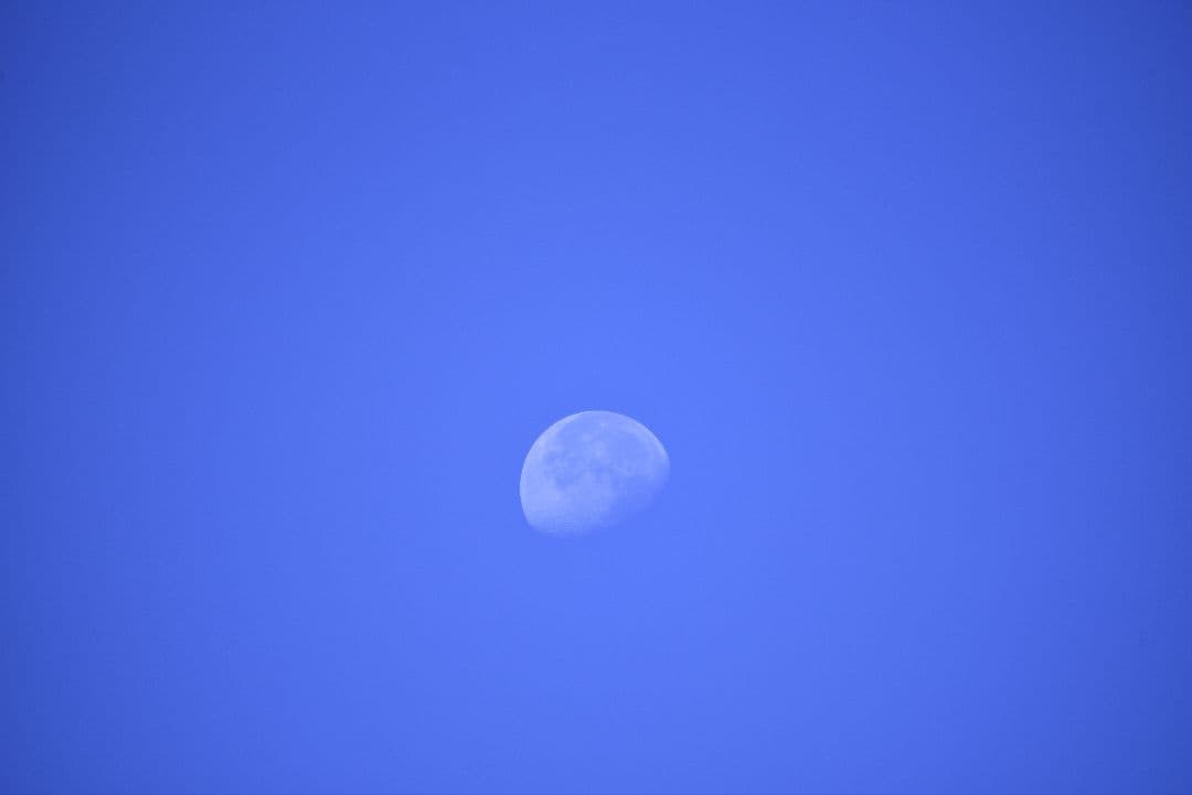 新品級 極上品 SIGMA テレコン付 APO 170-500mm F5-6.3