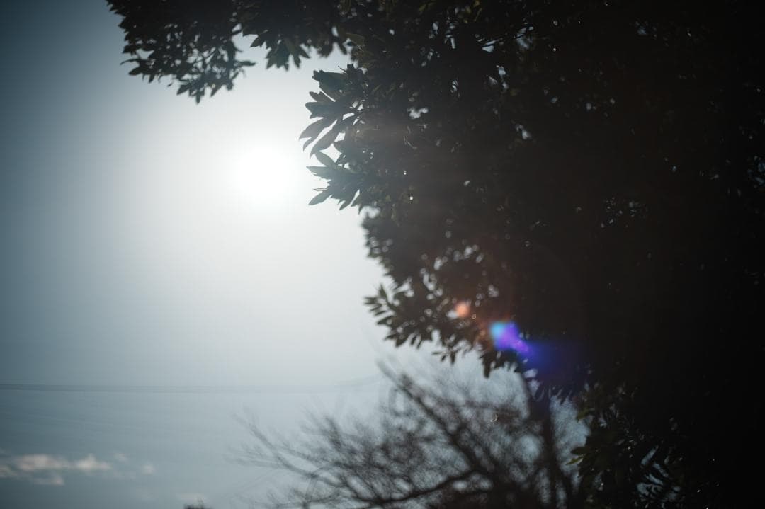 【この値段でライカ級】富岡光学製 XR RIKENON 50mm F2 293