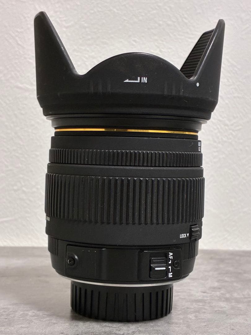 ⭐️美品⭐️ SIGMA 18-50mm F2.8 EX MACRO HSM ニコン