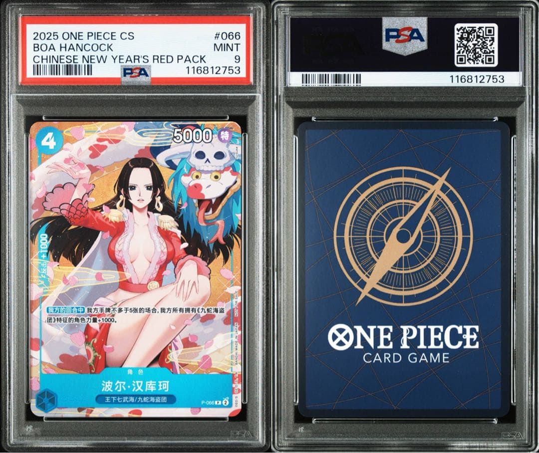 ハンコック　中国　PSA9