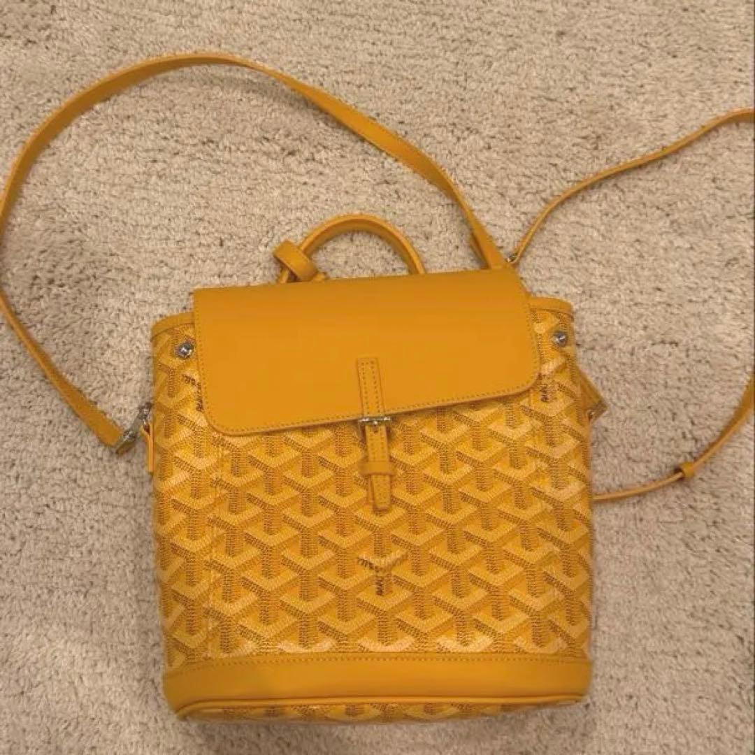 新品goyard ゴヤール ALPIN MINI リュックサック バックパック