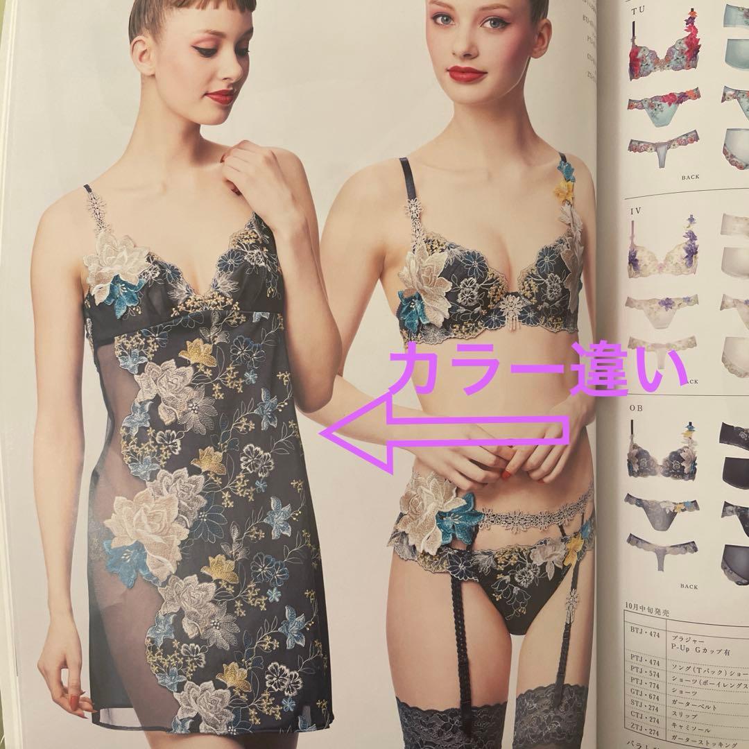 サルート 74G TU STJ274 秋の七草 ランジェリー Lサイズ