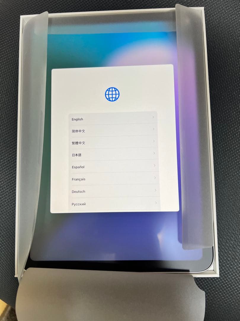 極美品 iPad 第10世代 256GB Wi-Fi シルバー Apple