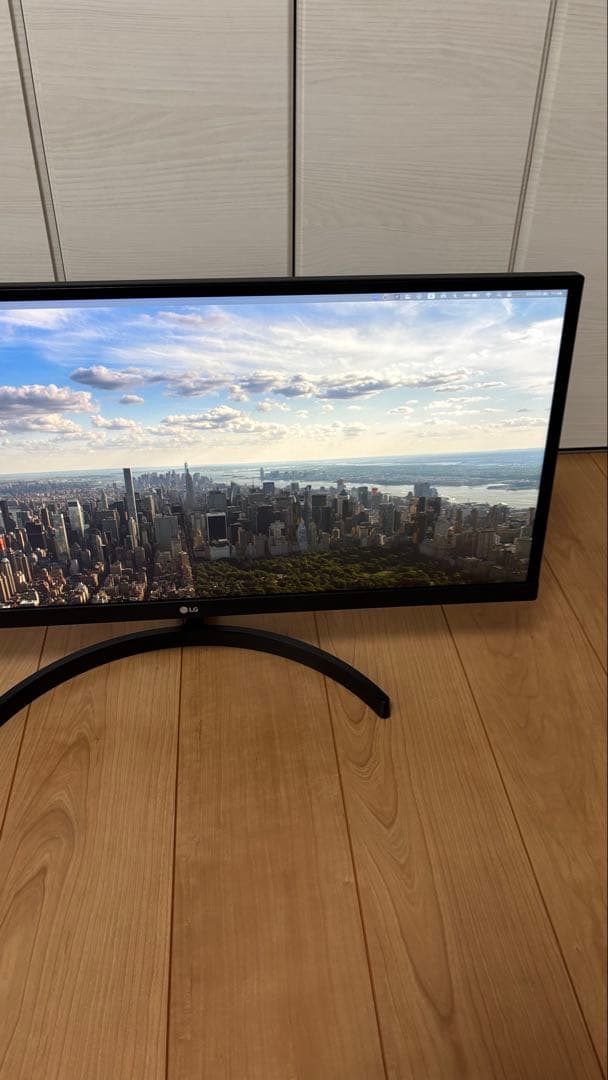 LG ウルトラワイドモニター　29WL500-B