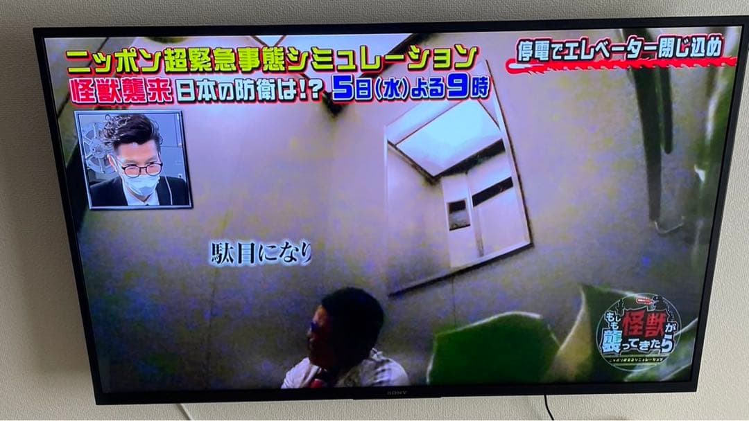 壁美人　ホワイト　37-47型