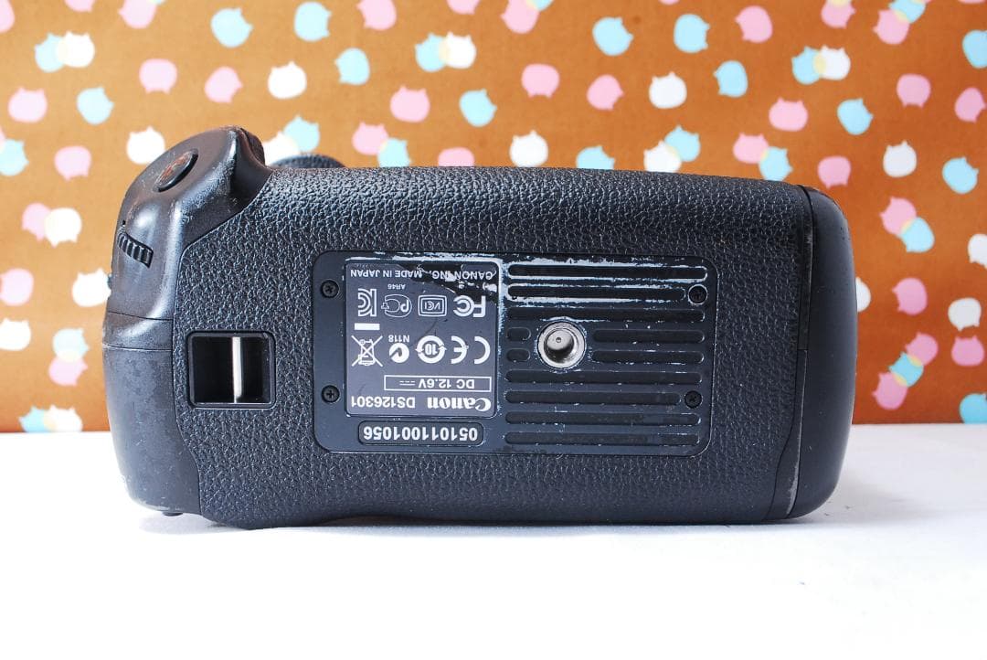 ✨付属品充実✨元箱付き✨Canon EOS-1DX ボディ