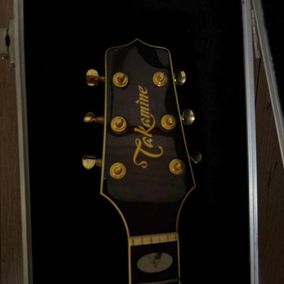 タカミネ NPT-115 エレアコ ハードケースつき