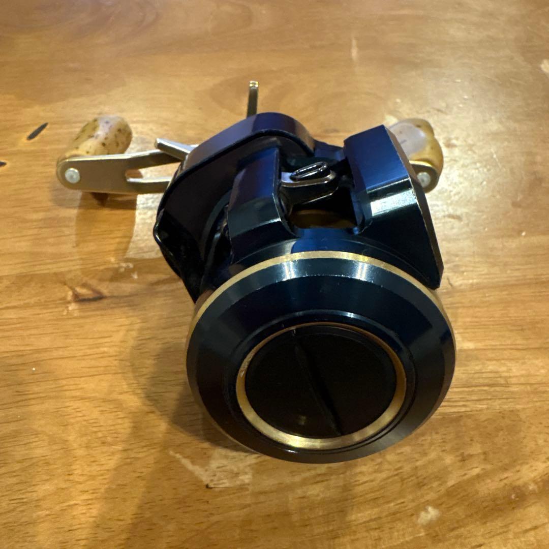 ダイワ　ソルティガic 100