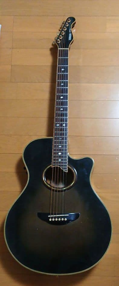 YAMAHA APX10-S 希少！！ ハードケース付き 長渕剛さん愛用！