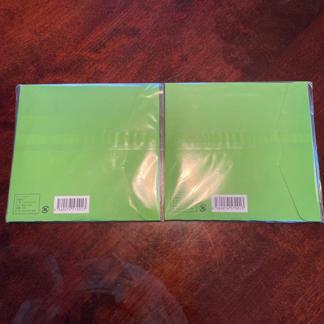 【新品未開封】FTW ビューラプレート 2枚