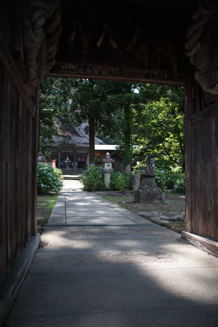 作例付き　RMC TOKINA 28-85mm F4 OM 管mpr