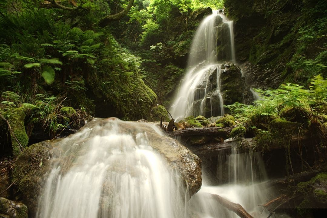 作例付き　RMC TOKINA 28-85mm F4 OM 管mpr