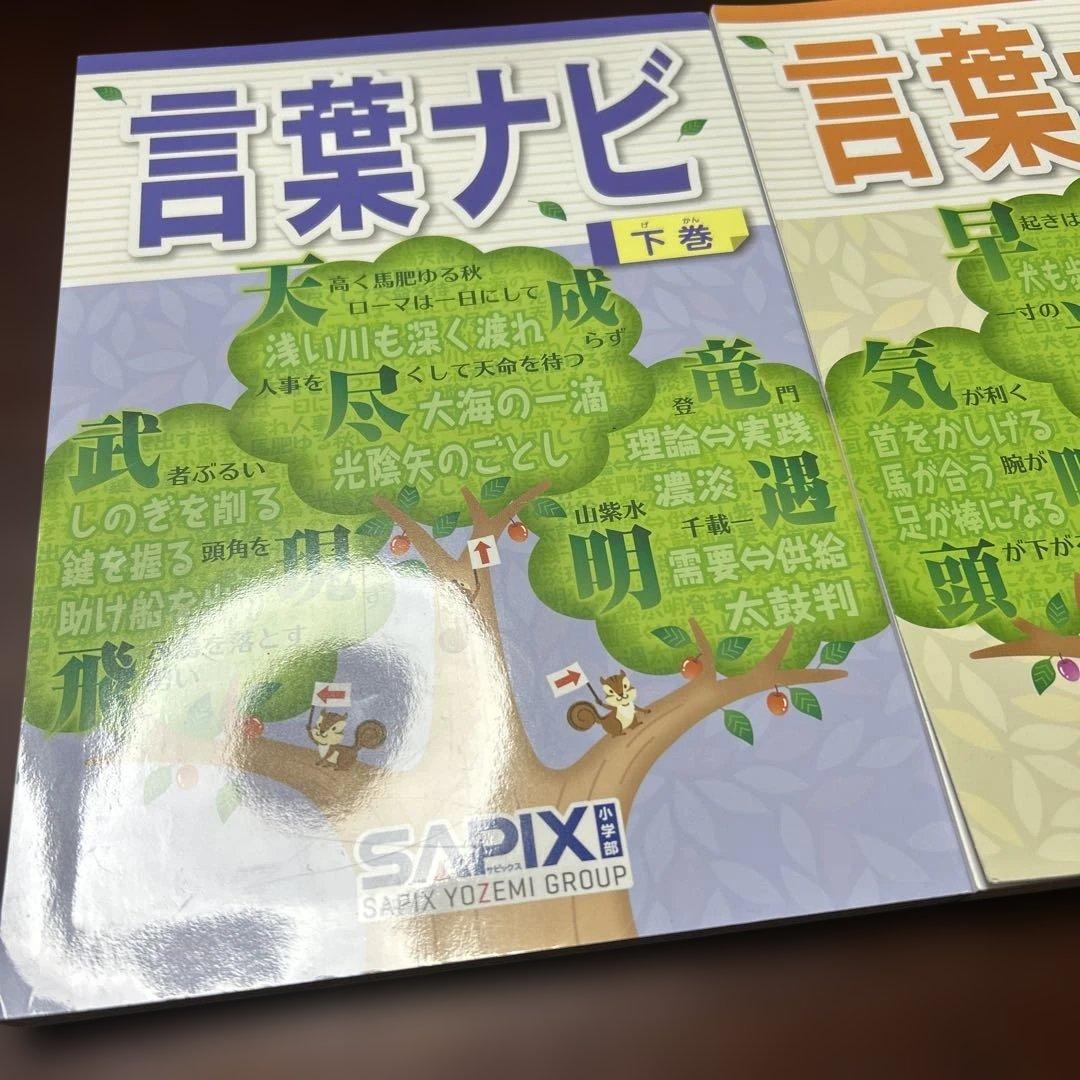 21-22か　重要教材　サピックス　SAPIX 言葉ナビ 上巻・下巻　美品❣️