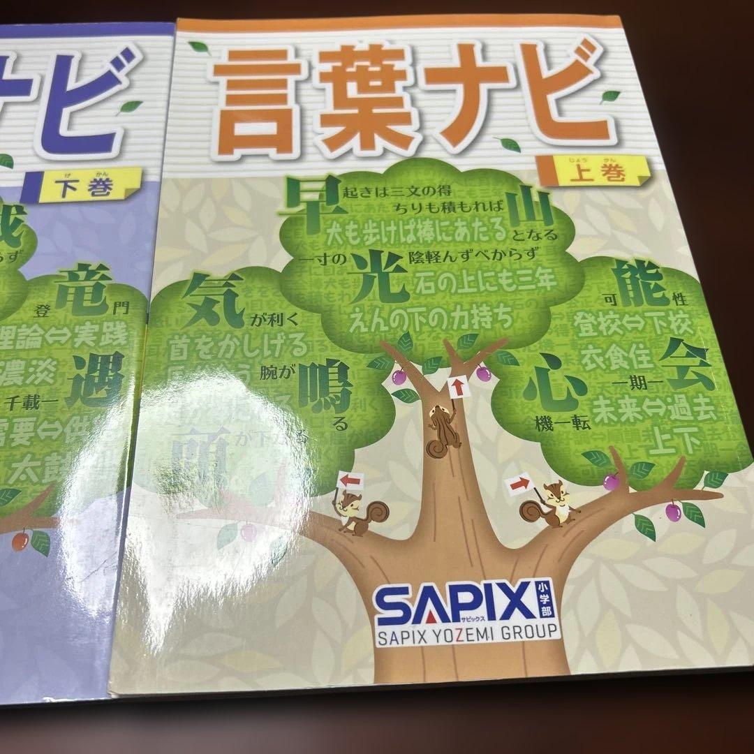 21-22か　重要教材　サピックス　SAPIX 言葉ナビ 上巻・下巻　美品❣️