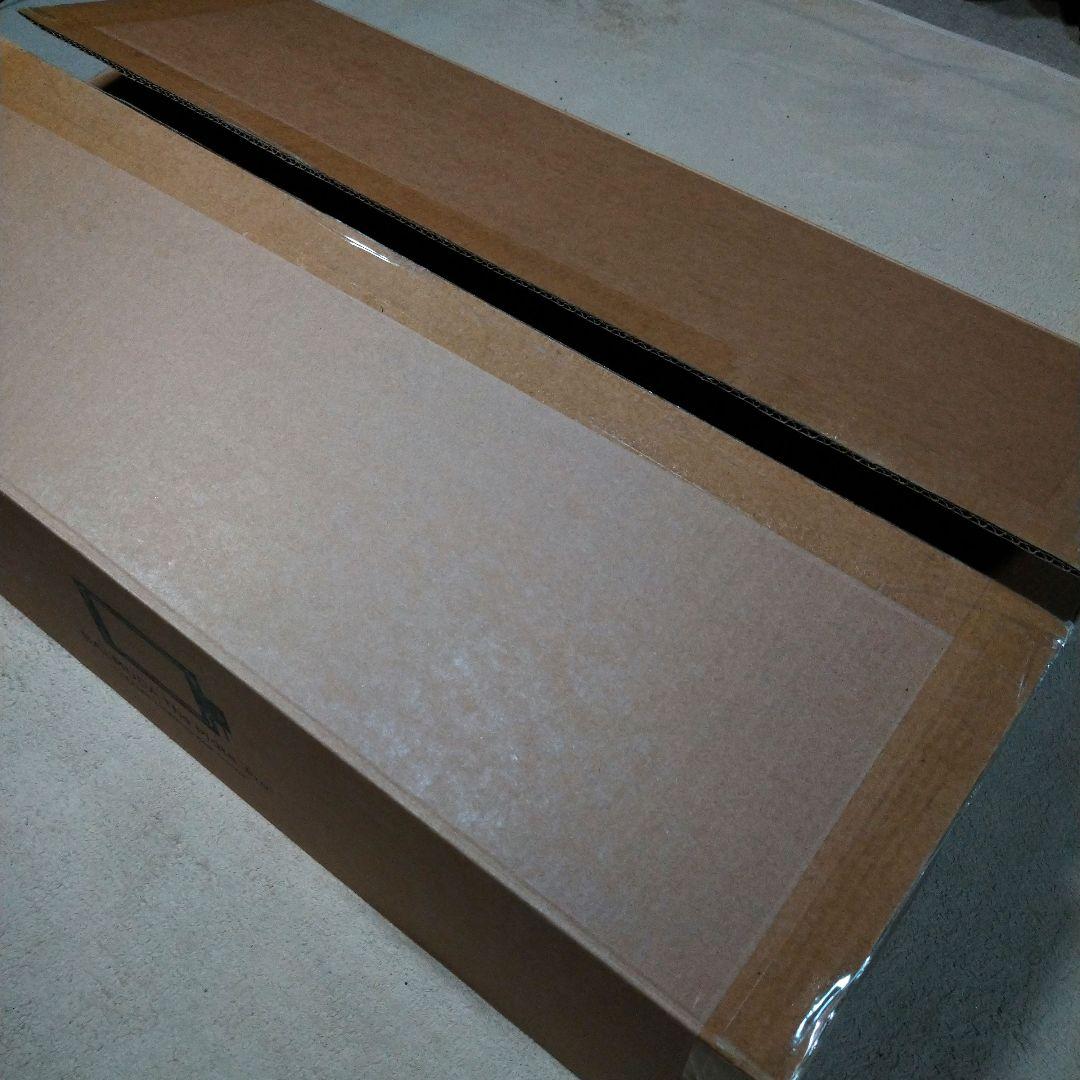 バルミューダ　ザプレート プロ　ホットプレート　新品未使用　人気商品