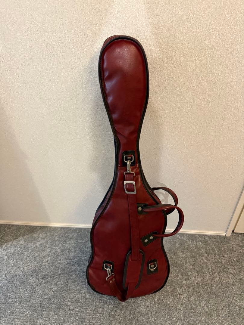 Aria Pro II RS Wildcat エレキギター