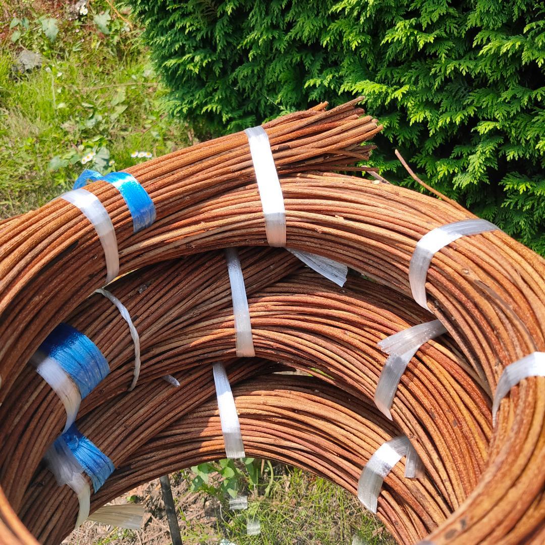 (委託品)青森県岩木山採取　あけび蔓　150cm～　3.2kg