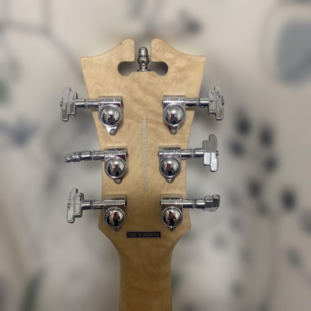 D'Angelico premier Bedford 新同