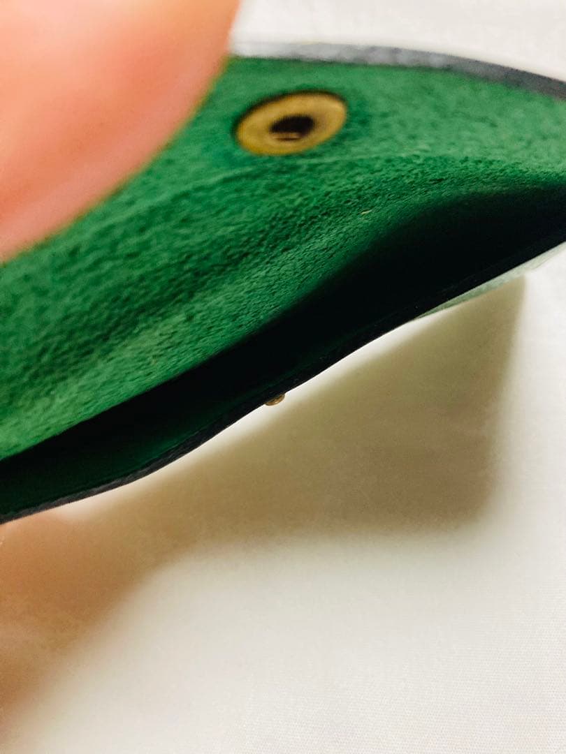 エルメス Hermes くし コーム レザーケース 未使用 バッファローホーン