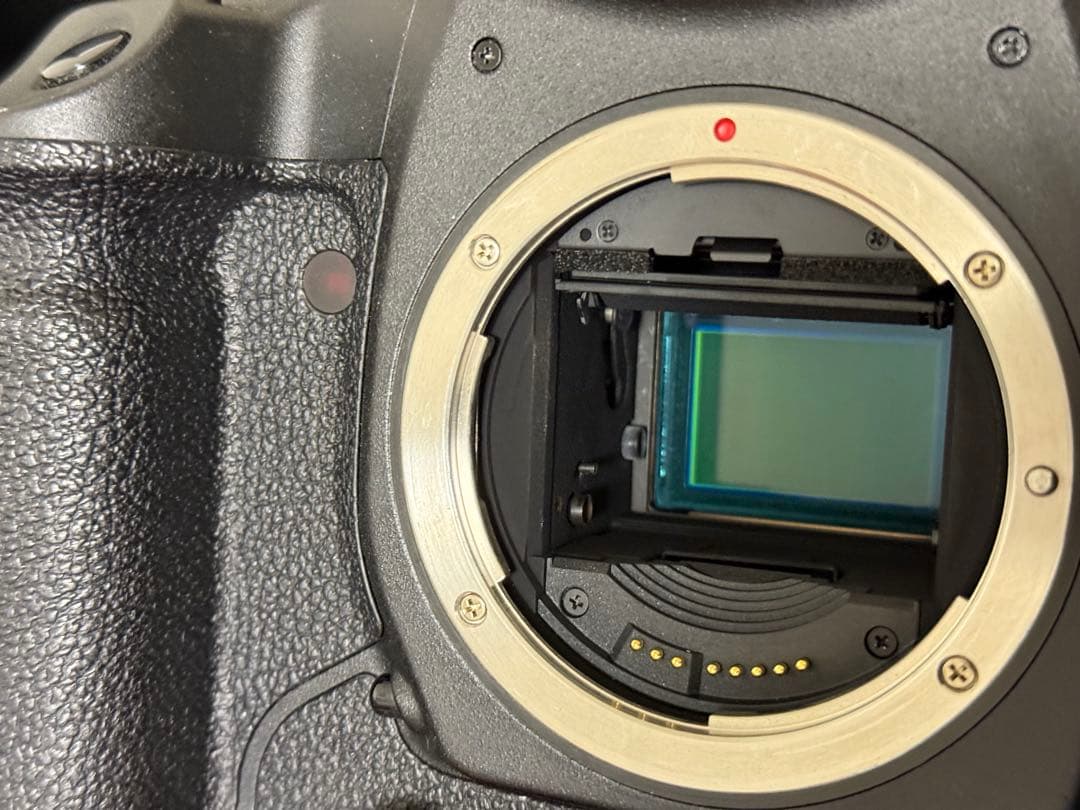 Canon EOS-1D Mark III 現状品