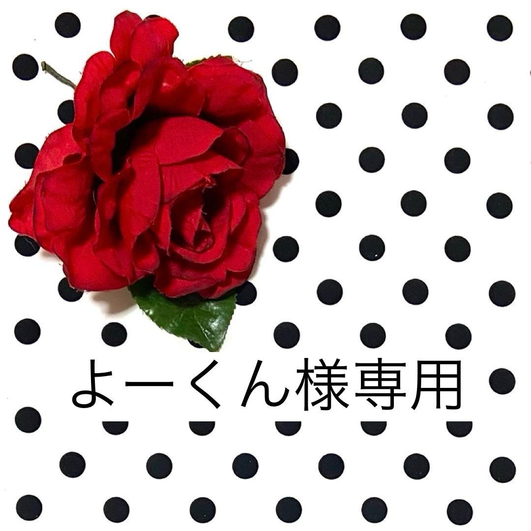 よーくん　シルバー ×赤バラのペイネシージョ2個＆イヤリング他　計3点